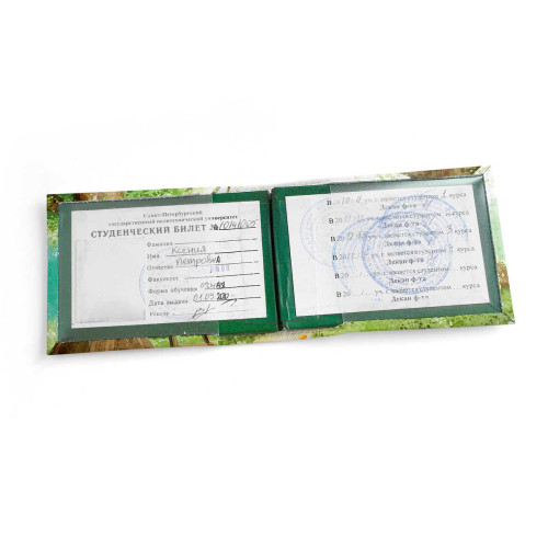 Обложка для студенческого билет STD1 «Little House»