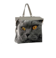 Рюкзак BKP4 «Cat Eyes»