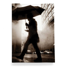 Обложка для автодокументов, AUT2 «Rain man»