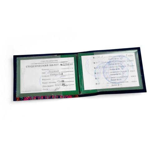 Обложка для студенческого билет STD1 «Owl color»