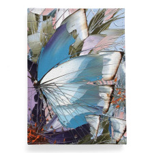 Обложка для паспорта, PAS2 «Бабочки 8»