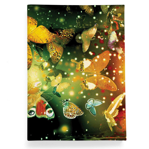 Обложка для паспорта, PAS2 «Бабочки 4»