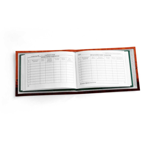 Обложка для зачетной книжки ZTK1 «Барышня и дракон»