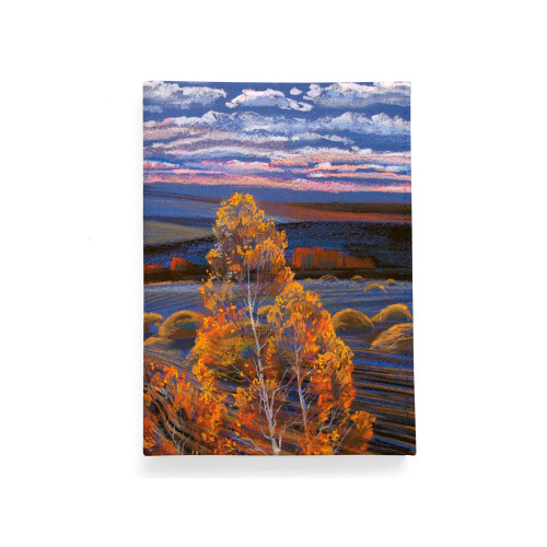 Обложка для автодокументов, AUT2 «Родные просторы 2»