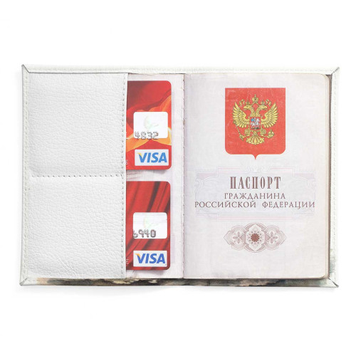 Обложка для паспорта, PAS2 «Совята»