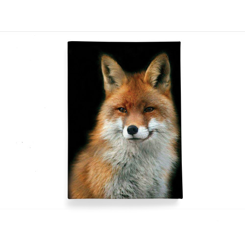 Обложка для паспорта, PAS2 «Лиса вертикальная»