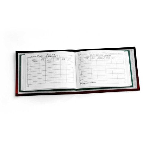 Обложка для зачетной книжки ZTK1 «Кот на ветке»