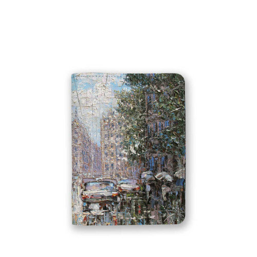 Обложка для паспорта, PAS4 «Дождь и солнце в Петербурге»