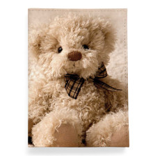 Обложка для автодокументов, AUT2 «Медведь»