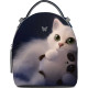 Рюкзак BK16 «Cat & Panda»