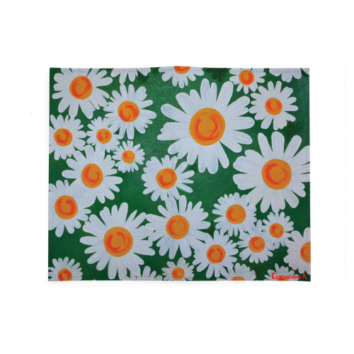 Портмоне PRS3 «Ромашки 5»