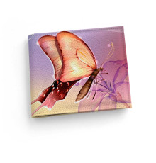 Обложка для зачетной книжки ZTK1 «Бабочка 6»