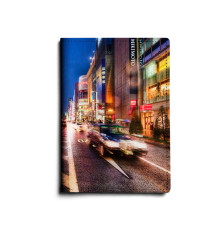 Обложка для паспорта, PAS1 «Проспект»