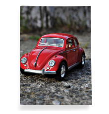 Обложка для автодокументов, AUT2 «VW»