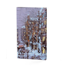 Портмоне PRS3 «Зимний Петербург»