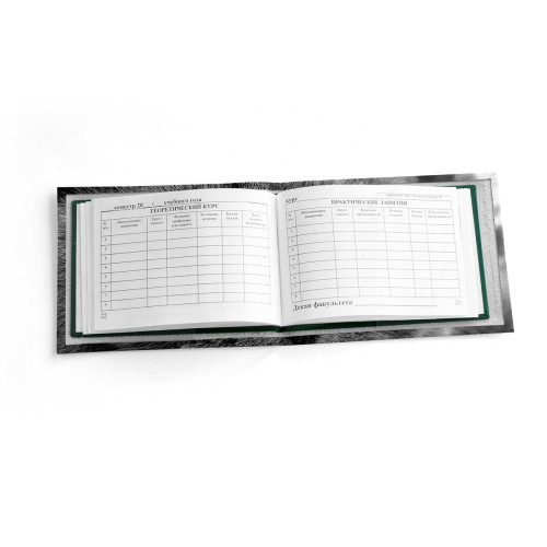 Обложка для зачетной книжки ZTK1 «Cat Eyes»