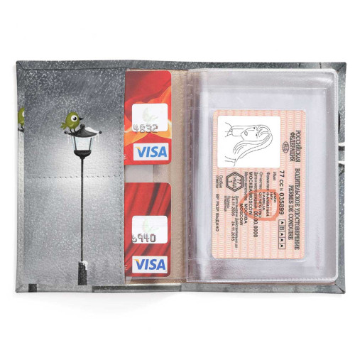 Обложка для автодокументов, AUT2 «Owl & bird»