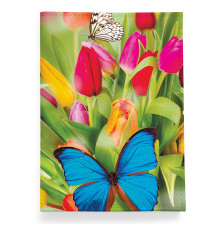 Обложка для паспорта, PAS2 «Butterfly»
