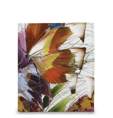 Кошелек мини PR17 «Бабочки 7»