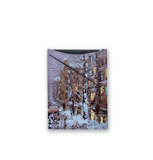 Обложка для документов, PAS3 «Зимний Петербург»