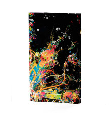 Портмоне PRS3 «Burst of Color»