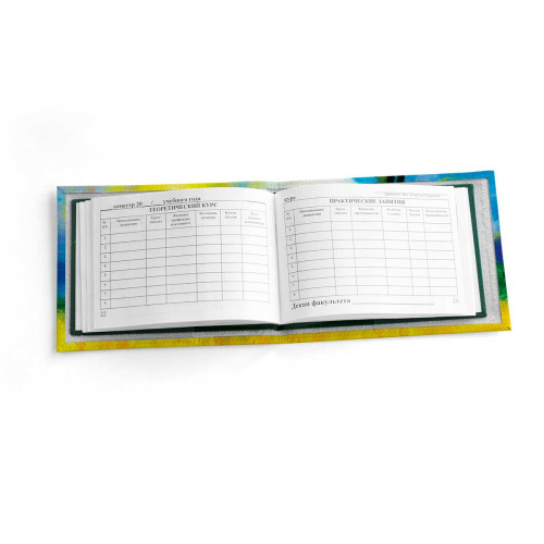 Обложка для зачетной книжки ZTK1 «Vincent van Gogh Sunny day»