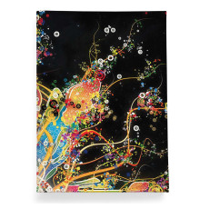 Обложка для паспорта, PAS2 «Burst of Color»