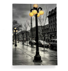 Обложка для автодокументов, AUT2 «Фонарь»