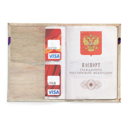 Обложка для паспорта, PAS2 «World map»