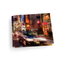 Обложка для студенческого билет STD1 «Проспект»