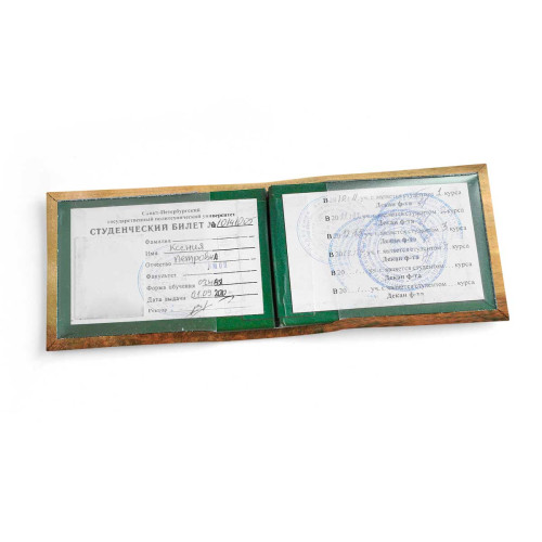 Обложка для студенческого билет STD1 «Smoke fox»