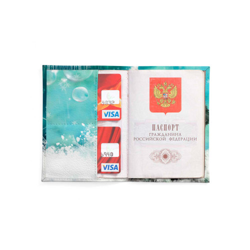 Обложка для автодокументов, AUT2 «Snow cat»