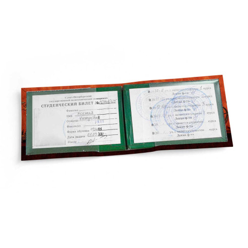 Обложка для студенческого билет STD1 «Барышня и дракон»