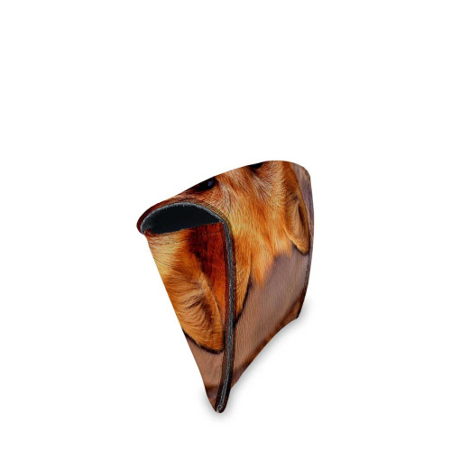 GLS1 «Лиса горизонтальная»