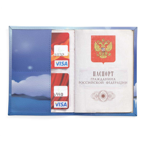 Обложка для паспорта, PAS2 «Owl in scarf»