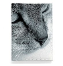 Обложка для автодокументов, AUT2 «Cat»