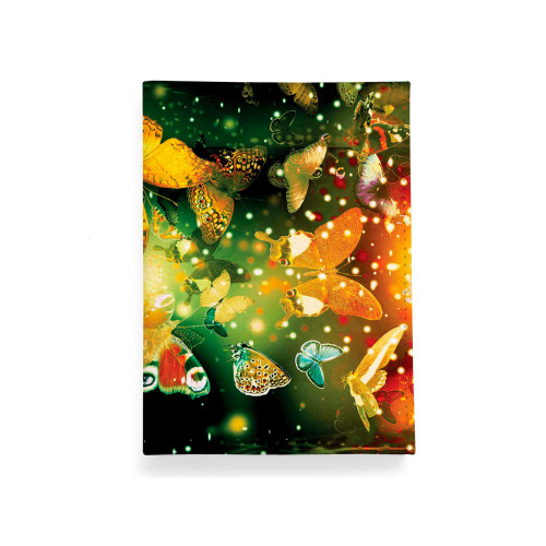 Обложка для автодокументов, AUT2 «Бабочки 4»