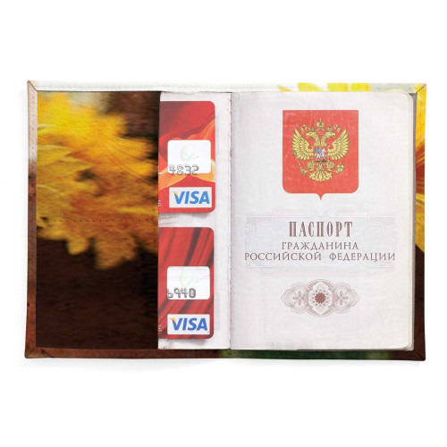 Обложка для паспорта, PAS2 «Sunflower»