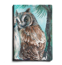 Обложка для автодокументов, AUT1 «Совы»