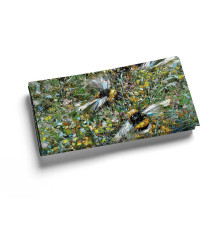 Кошелек, PRS1 «Шмели »