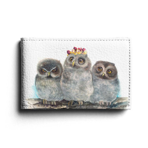 BSN1 «Совята»