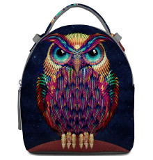 Рюкзак BK16 «Owl color»