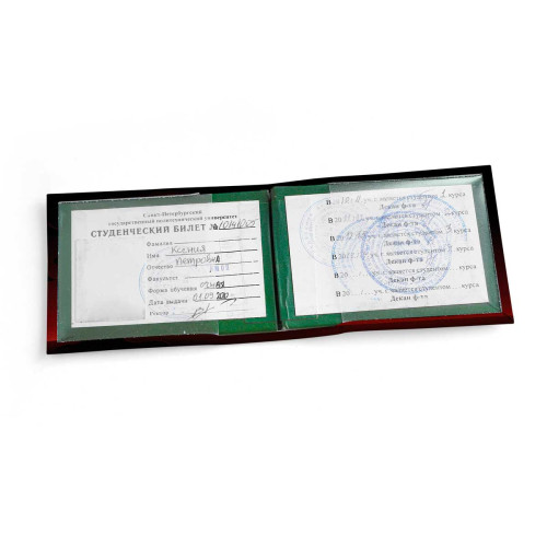 Обложка для студенческого билет STD1 «Кот на ветке»