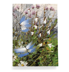 Обложка для паспорта, PAS2 «Бабочки над цветами и травами»