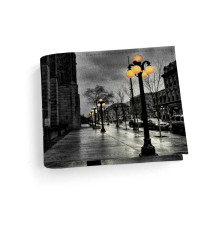 Обложка для студенческого билет STD1 «Фонарь»