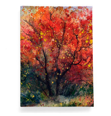 Обложка для паспорта, PAS2 «Akvarel»