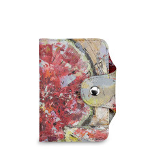 BSN2 «Солнечный арбуз»