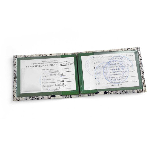 Обложка для студенческого билет STD1 «Березы»