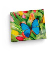 Обложка для зачетной книжки ZTK1 «Butterfly»