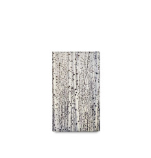 BSN3 «Березы»